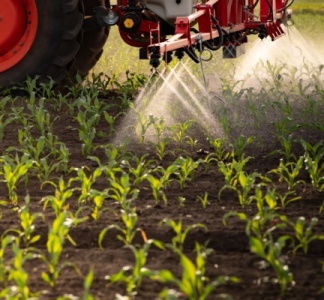 Illustration article : Certiphytos : nouvelle prolongation de la durée de validité